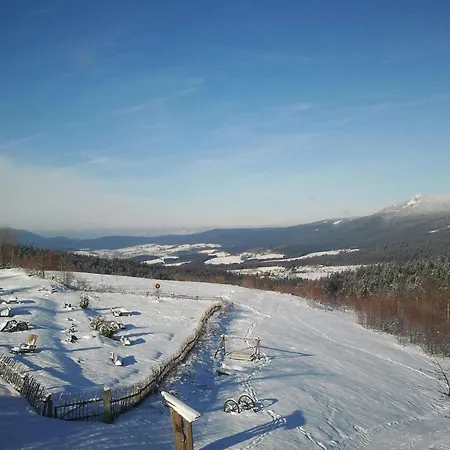 Hotel Mooshuette Im Skigebiet Grosser Arber 3*