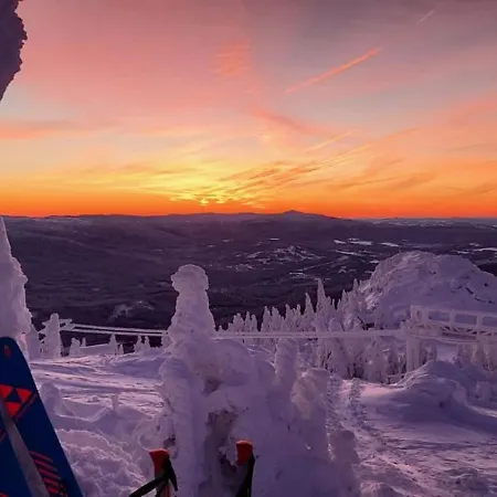 Hotel Mooshuette Im Skigebiet Grosser Arber Lohberg