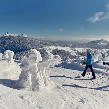 Hotel Mooshuette Im Skigebiet Grosser Arber