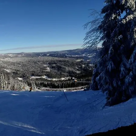 Szálloda Mooshuette Am Arber, Naturidyll Auf 950m 3*