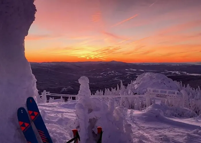 ホテル Mooshuette Naturidyll Auf 950m ローベルク