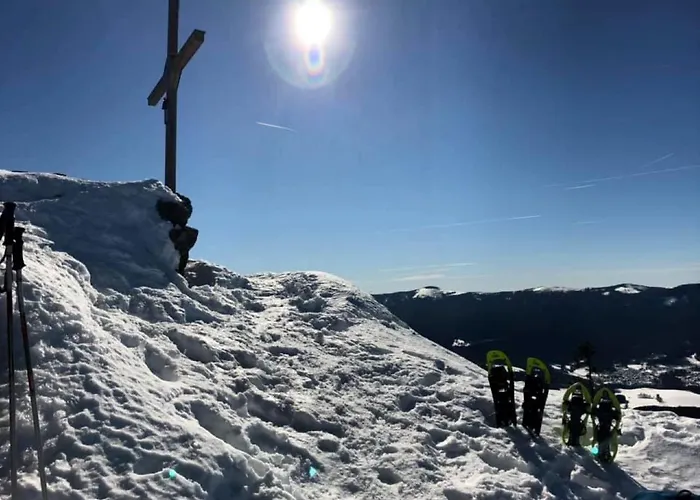 Mooshuette Naturidyll Auf 950m 3*