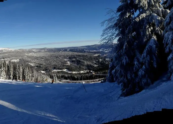 ホテル Mooshuette Naturidyll Auf 950m 3*