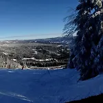 Hotel Berghotel Mooshuette Am Arber, Naturidyll Auf 950M 3*