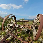 Berghotel Mooshuette Am Arber, Naturidyll Auf 950M 3*