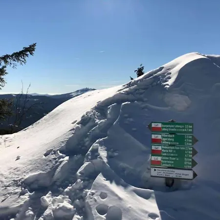 Mooshuette Im Skigebiet Grosser Arber Hotell Lohberg