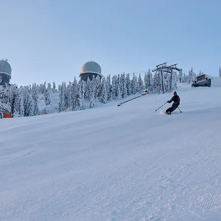 Mooshuette Im Skigebiet Grosser Arber Lohberg