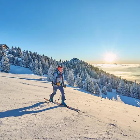 Hotell Mooshuette Im Skigebiet Grosser Arber Lohberg