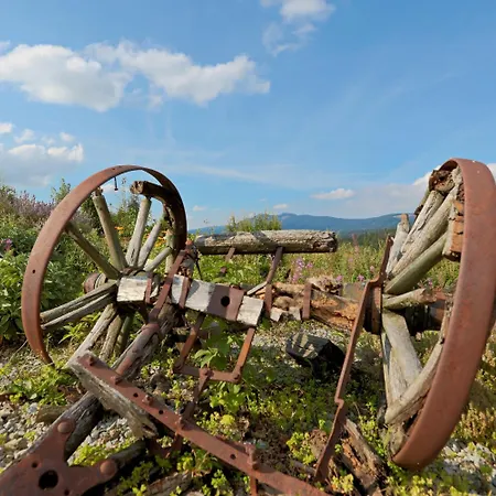 Mooshuette Im Skigebiet Grosser Arber 3*
