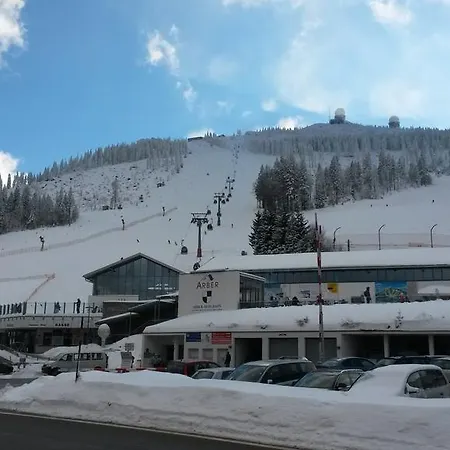 Mooshütte Naturidyll Auf 950m Hotel Lohberg