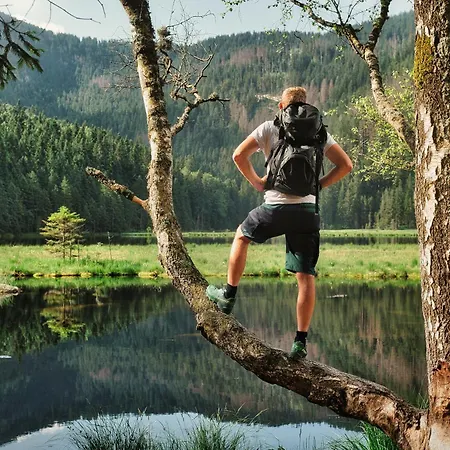 Mooshütte Naturidyll Auf 950m Hotel 3*