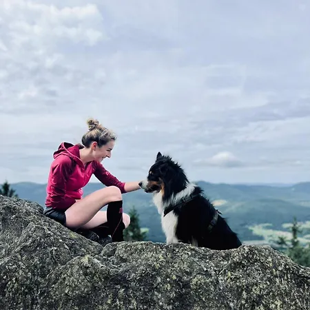 Mooshuette Am Arber, Naturidyll Auf 950m