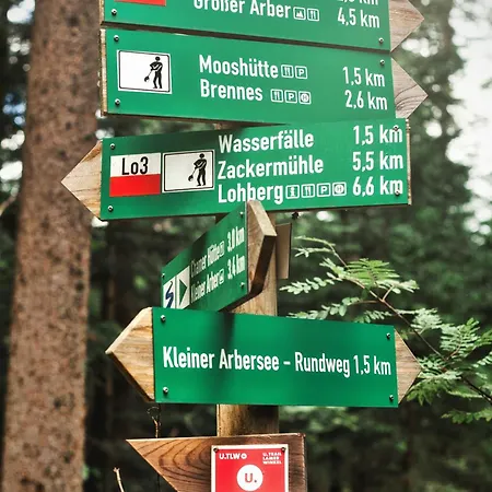 מלון Mooshuette Am Arber, Naturidyll Auf 950m לוהברג