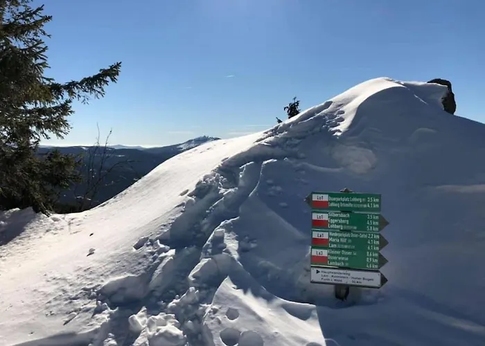Mooshuette Naturidyll Auf 950m Hotel Lohberg