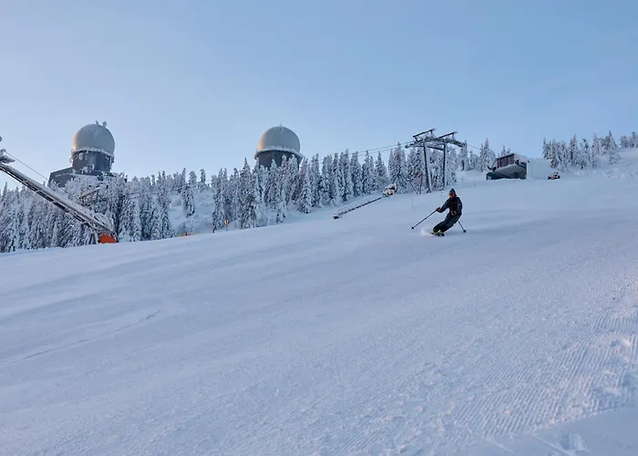 Mooshuette Naturidyll Auf 950m Lohberg