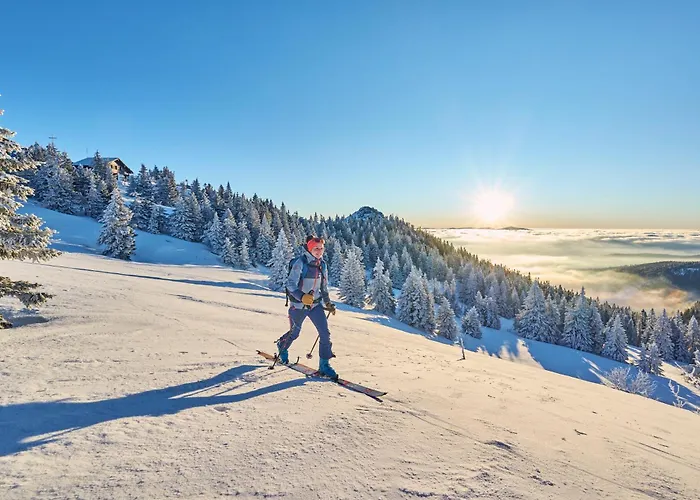 Otel Berghotel Mooshuette Am Arber, Naturidyll Auf 950M Lohberg