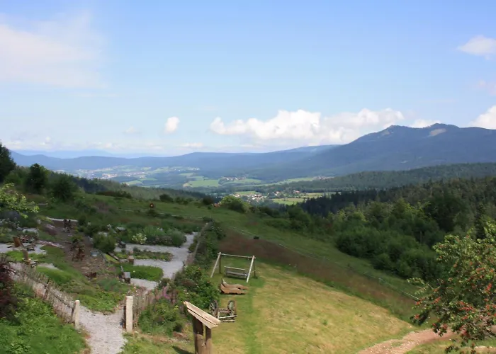 Mooshuette Naturidyll Auf 950m 3* Lohberg