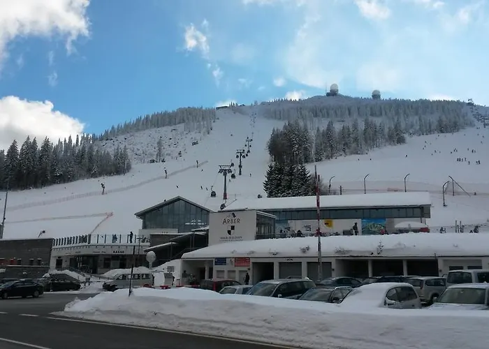 Berghotel Mooshuette Am Arber, Naturidyll Auf 950M Otel Lohberg
