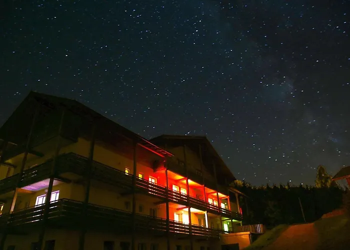 Berghotel Mooshuette Am Arber, Naturidyll Auf 950M Otel Lohberg
